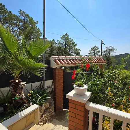Paradise Lloret Pensionat 3*
