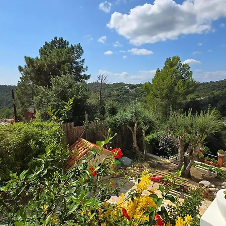 Paradise Lloret Guest house *