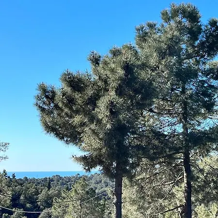 Paradise Lloret Πανσιόν